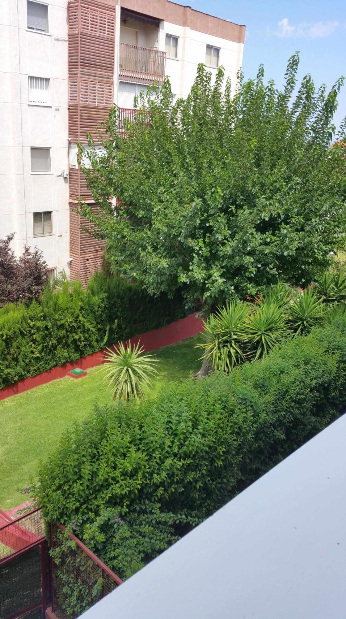 Sauces Parking Gratis Climatizado Lägenhet Jaén Exteriör bild